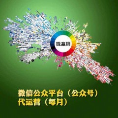 昌江黎族自治县微信代运营公司可以为客户带来哪些服务？