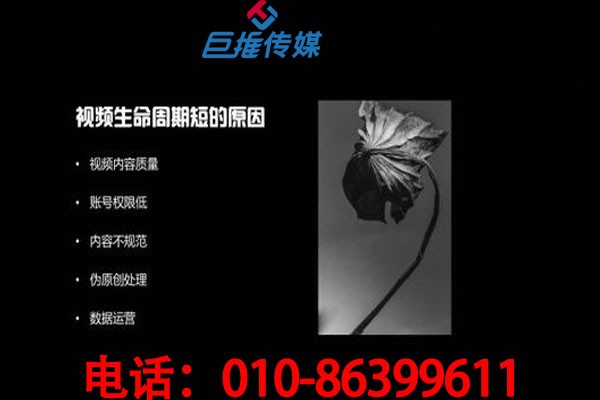 寻找北京市短视频代运营公司需要多少钱？